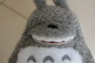 Avis de la peluche My Neighbor Totoro snooze