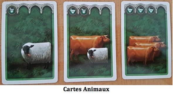 Dragons, qui aura le plus beau Magot ! Chez Matagot