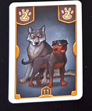 Notre avis sur Chasseurs de Trésors chez Queen Games