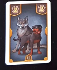 Notre avis sur Chasseurs de Trésors chez Queen Games