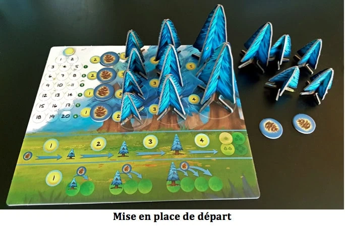 Test de Photosynthesis, l’appel de la forêt chez Blue Orange !