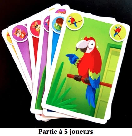 Kikafé, rapidité et mémorisation pour toute la famille chez Blue Orange