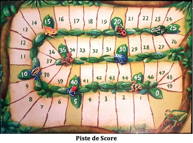 Carcassonne Amazonas, explorez le 2nd plus grand fleuve du monde ! Chez Z-Man Games