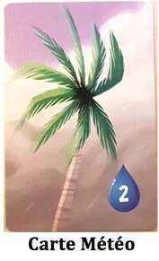 Test de Galèrapagos, Tous pour un et un pour un, ou l’inverse… chez Gigamic