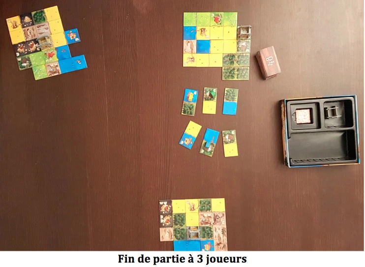 Kingdomino, jeu millénaire mis au goût du jour chez Blue Orange