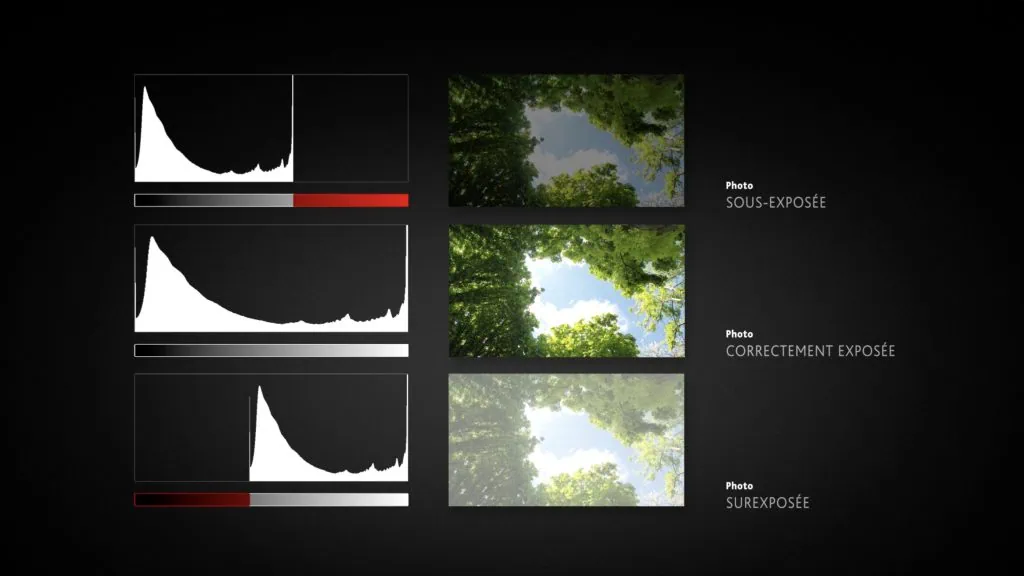 Tout savoir des niveaux et de l'histogramme dans Photoshop