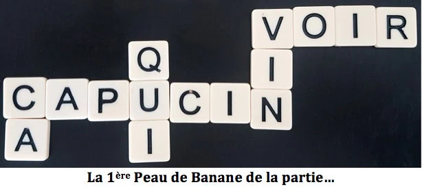 Bananagrams, si vous avez un petit creux ludique chez Bananagrams Inc. Et PMW Distribution
