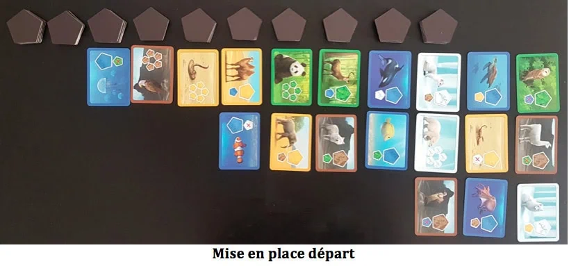 Planet, construisez votre Monde chez Blue Orange