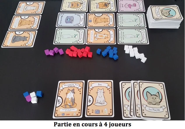 Cat Lady, Les chats ont faim chez AEG et Edge Entertainment