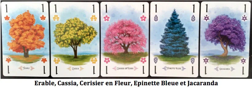 Carte du jeu Arboretum