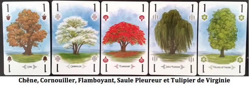 Test jeu Arboretum