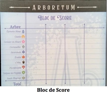 Score jeu Arboretum