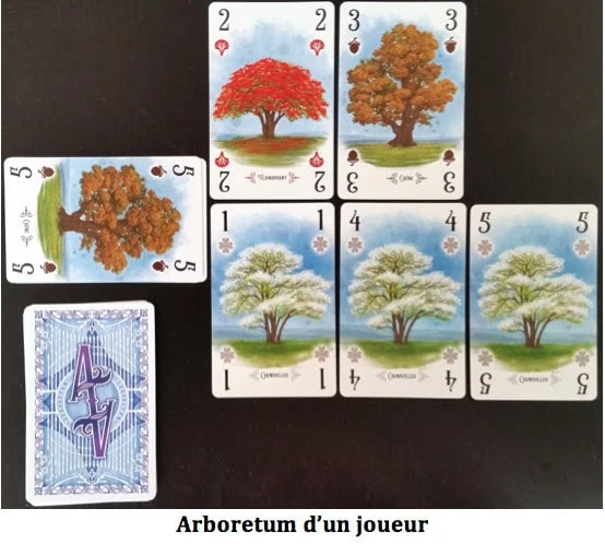 Arboretum, savez-vous plantez des Arbres ? Chez Origames et Renegade France