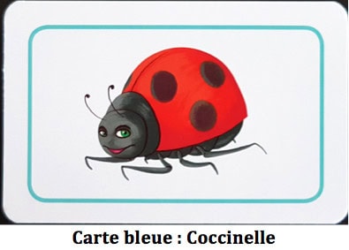 Test de Concept Kids Animaux, adaptation pour les enfants du fameux best seller chez Repos Production