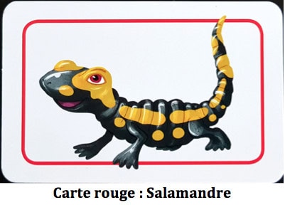 Test de Concept Kids Animaux, adaptation pour les enfants du fameux best seller chez Repos Production