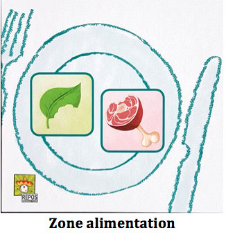 Test de Concept Kids Animaux, adaptation pour les enfants du fameux best seller chez Repos Production