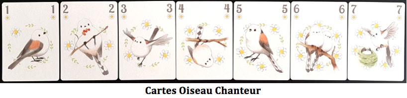 Songbirds, redécouvrez l’expression avoir un appétit d’oiseau chez Pixie Games