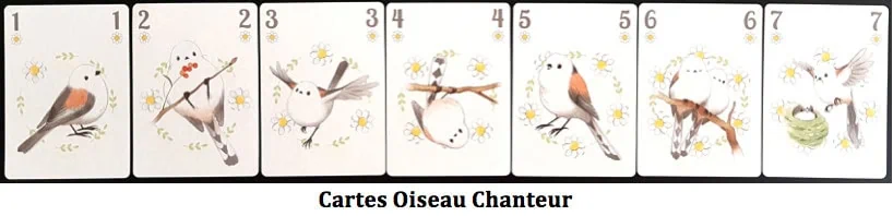 Songbirds, redécouvrez l’expression avoir un appétit d’oiseau chez Pixie Games