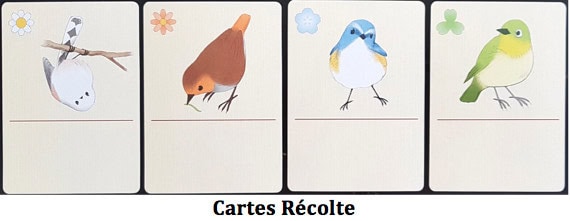Songbirds, redécouvrez l’expression avoir un appétit d’oiseau chez Pixie Games