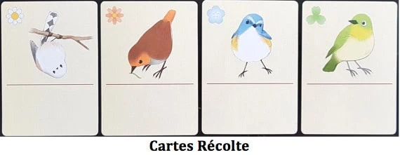 Songbirds, redécouvrez l’expression avoir un appétit d’oiseau chez Pixie Games