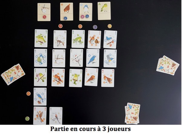 Songbirds, redécouvrez l’expression avoir un appétit d’oiseau chez Pixie Games