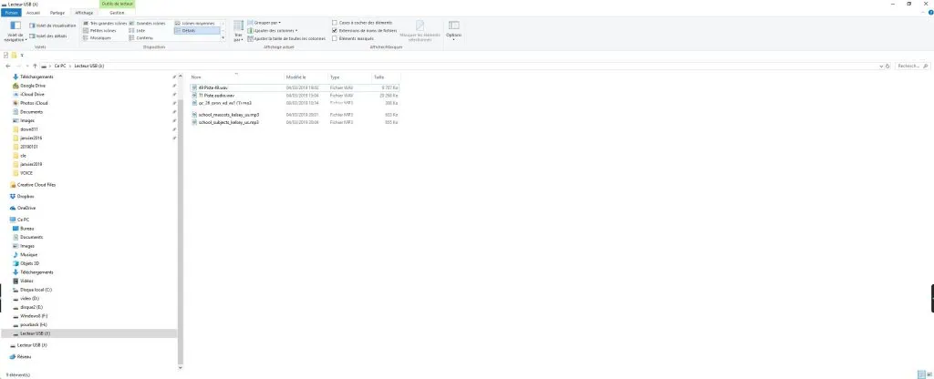 usb barthe enregistreur vocal