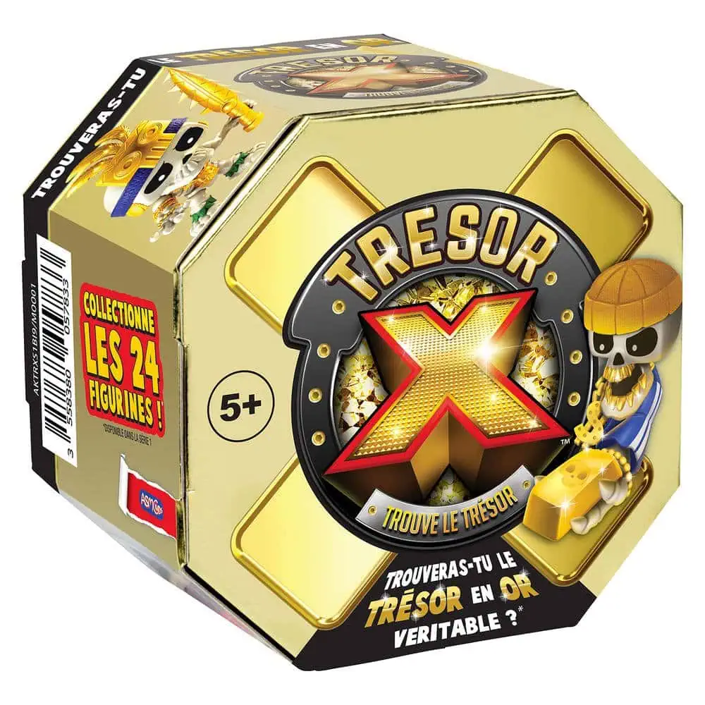 Trésor X : trouver le Trésor avec Asmokids