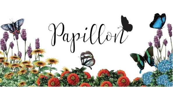 Test de Papillon de J.B Howell chez Kolossal Games