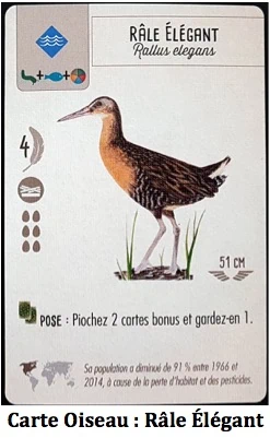 Test de Wingspan… fais comme l’oiseau chez Matagot﻿