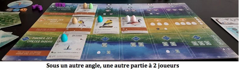 Test de Wingspan… fais comme l’oiseau chez Matagot﻿