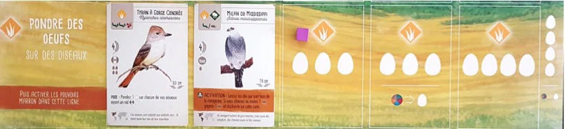 Test de Wingspan… fais comme l’oiseau chez Matagot﻿