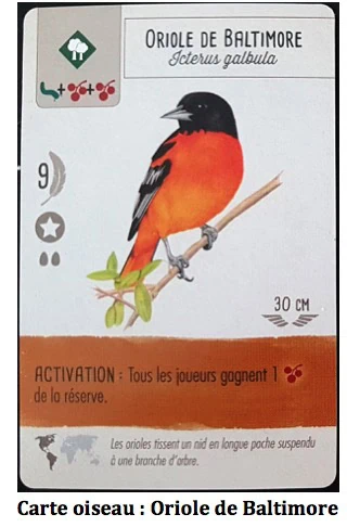 Test de Wingspan… fais comme l’oiseau chez Matagot﻿