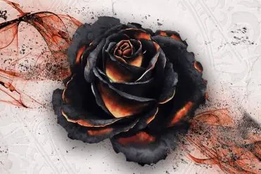 Test de Black Rose Wars, Entrez dans la Loge avec Légion Distribution
