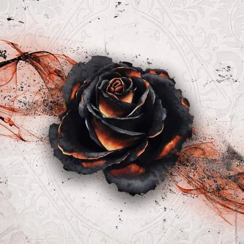 Test de Black Rose Wars, Entrez dans la Loge avec Légion Distribution