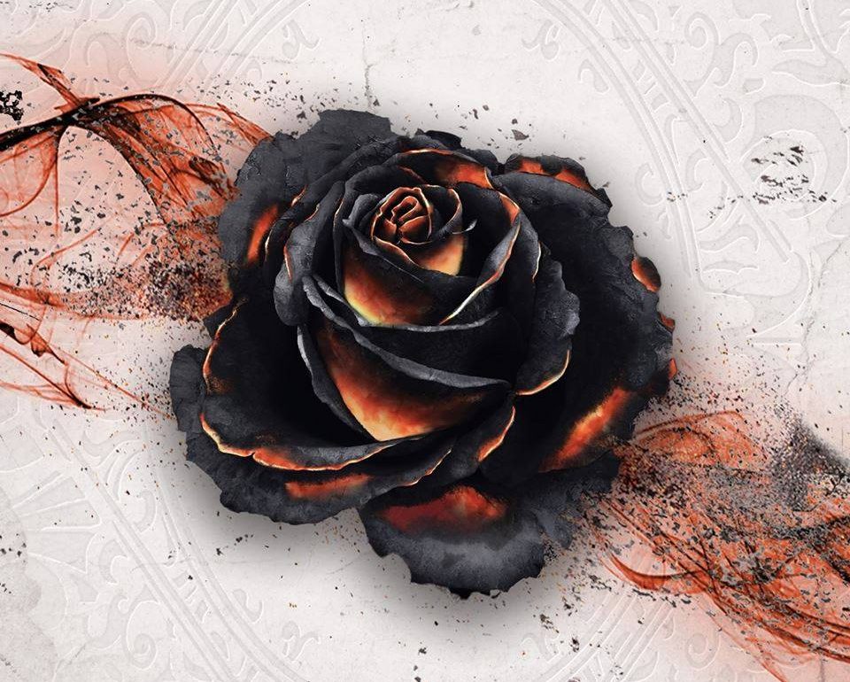 Test de Black Rose Wars, Entrez dans la Loge avec Légion Distribution