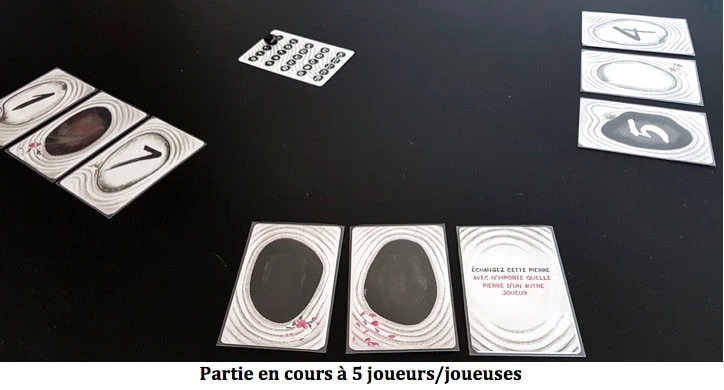 Test de Narabi un coop zen chez Lifestyle Boardgames