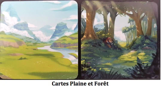 Test de Pandaï, explorez plaines et forêts avec Origames﻿