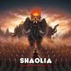 Shaolia jeu de plateau