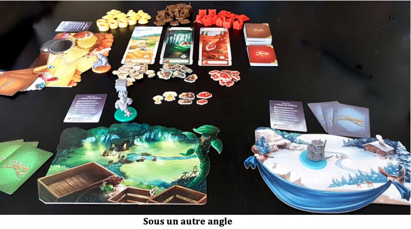 Test de La Forêt des Frères Grimm de Tim Eisner chez Lucky Duck Games
