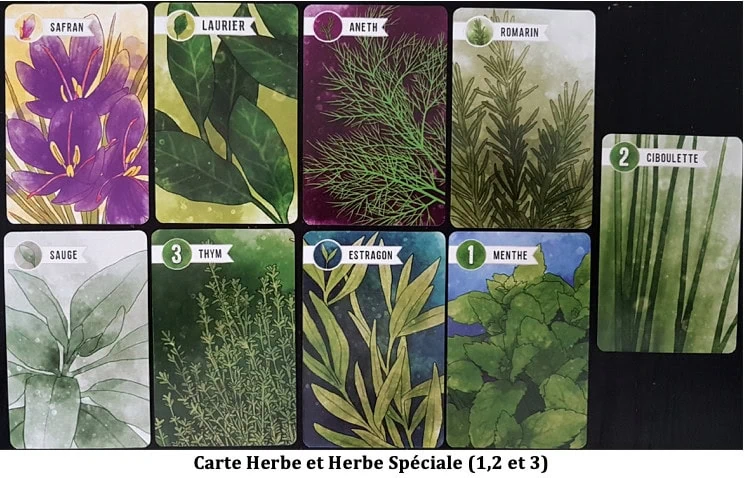 Test d'Herbaceous de Steve Finn et Eduardo Baraf, vous aurez la main verte avec Matagot