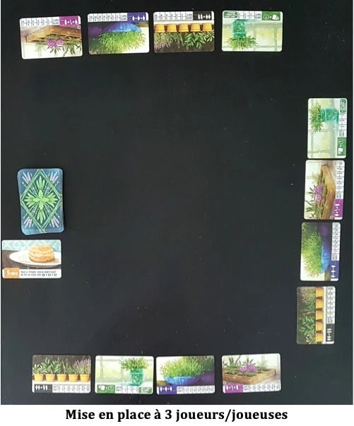 Test d'Herbaceous de Steve Finn et Eduardo Baraf, vous aurez la main verte avec Matagot