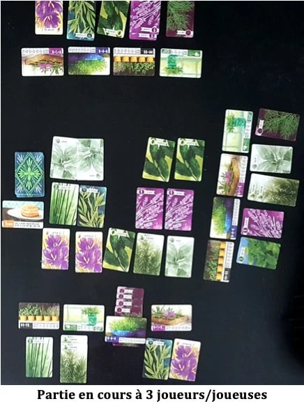 Test d'Herbaceous de Steve Finn et Eduardo Baraf, vous aurez la main verte avec Matagot