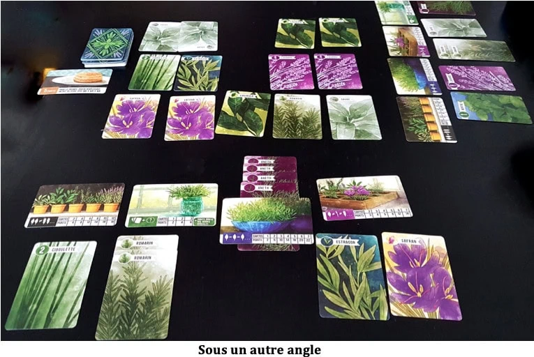 Test d'Herbaceous de Steve Finn et Eduardo Baraf, vous aurez la main verte avec Matagot