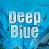 Test de Deep Blue chez Days Of Wonder