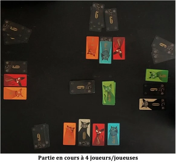 Test de Mauwi de Vincent Joassin chez Yoka By Tsume