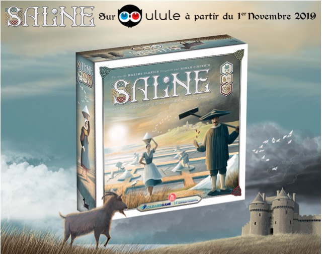 Preview de Saline de Maxime Blandin chez la Chèvre Edition