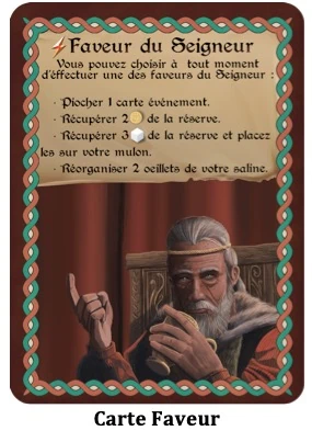 Preview de Saline de Maxime Blandin chez la Chèvre Edition
