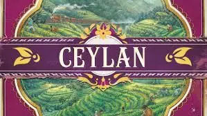 Notre avis sur Ceylan