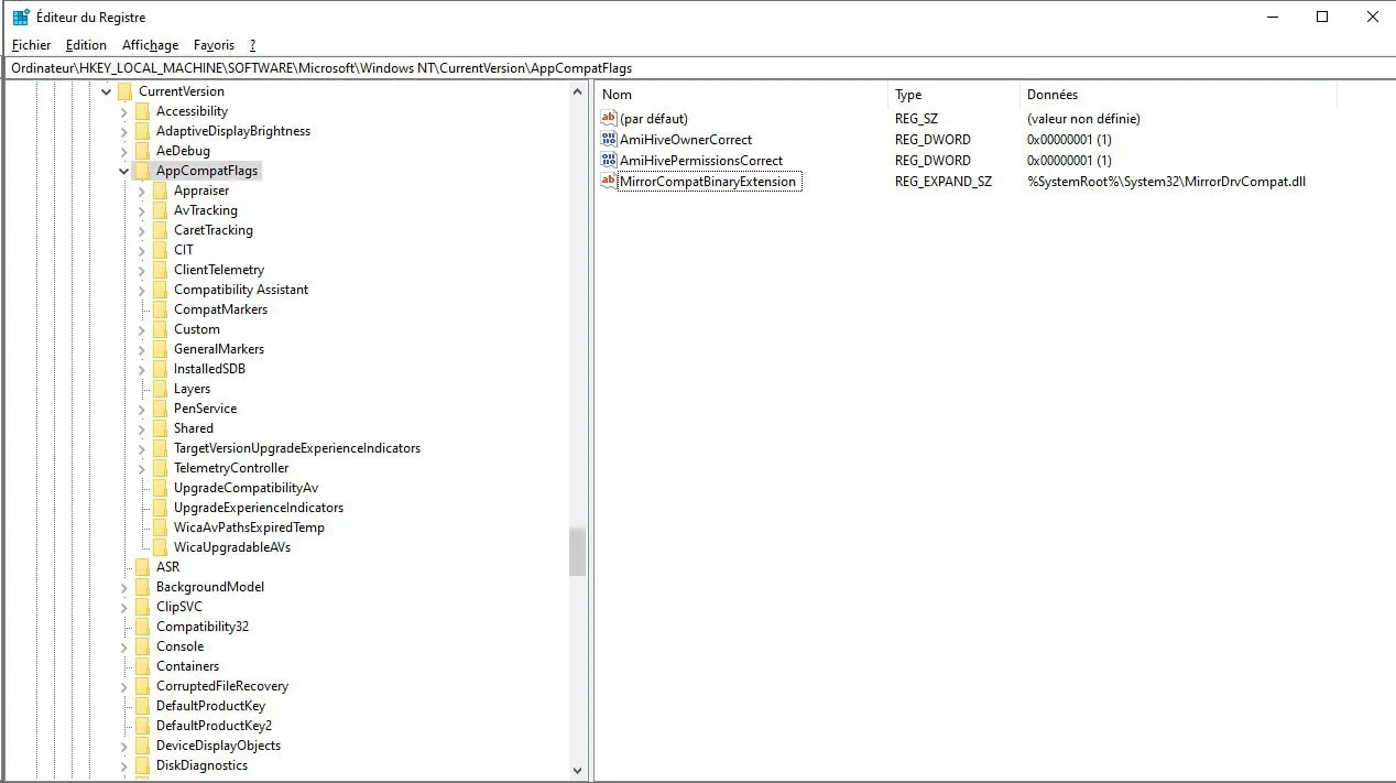 base de registre AppCompatFlags