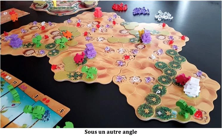 Test de Ishtar : Les jardins de Babylone de Bruno Cathala et Evan Singh chez Iello